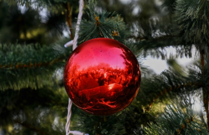 Чем может быть опасна для волгоградцев новогодняя елка
